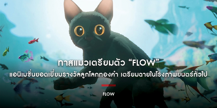 ทาสแมวเตรียมตัว “FLOW” แอนิเมชั่นยอดเยี่ยมรางวัลลูกโลกทองคำ เตรียมฉายในโรงภาพยนตร์ทั่วไป ดูก่อนใคร 30 มกราคม – 5 กุมภาพันธ์ ฉายจริง  6 กุมภาพันธ์